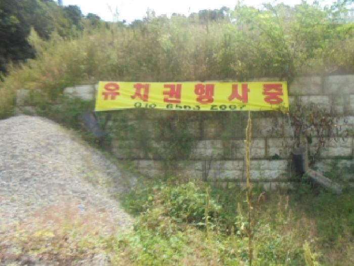 충북 음성군 생극면 전 경매 물건 사진 4 · 2025타경30788