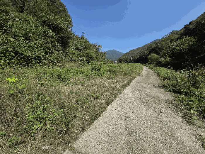 충북 충주시 동량면 답 경매 물건 사진 6 · 2025타경30790