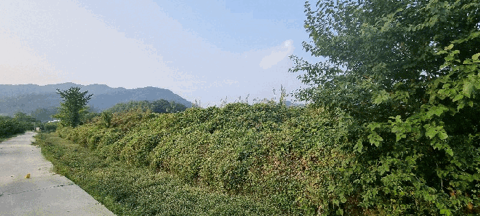 충북 음성군 음성읍 대지,임야,전답 경매 물건 사진 3 · 2025타경30814