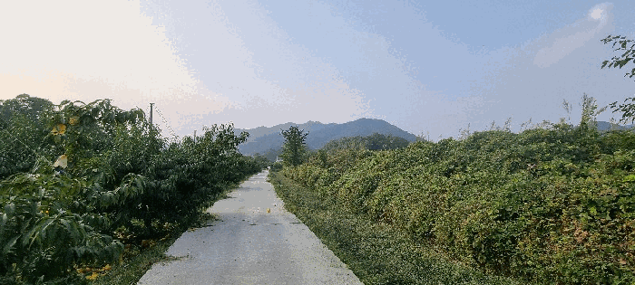 충북 음성군 음성읍 대지,임야,전답 경매 물건 사진 5 · 2025타경30814