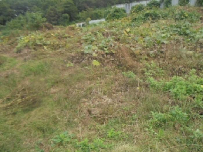 충북 충주시 용탄동 전 경매 물건 사진 4 · 2025타경30822