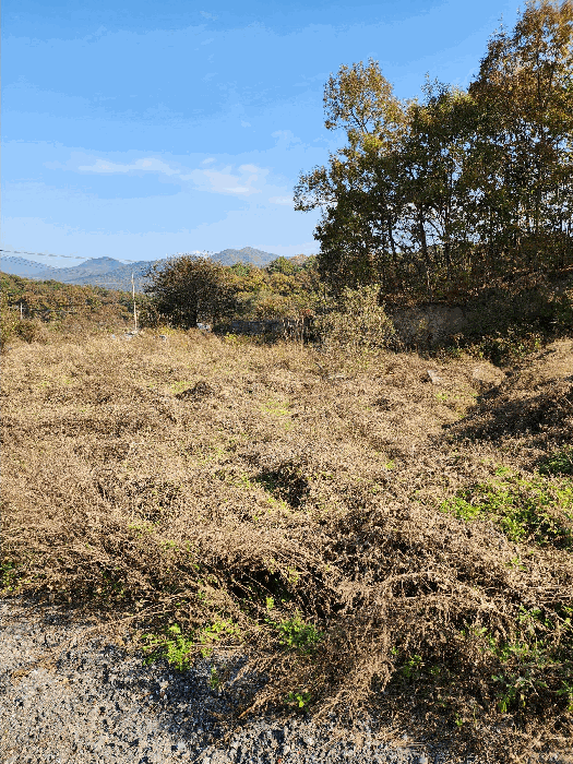 충북 충주시 앙성면 전 경매 물건 사진 4 · 2025타경30826