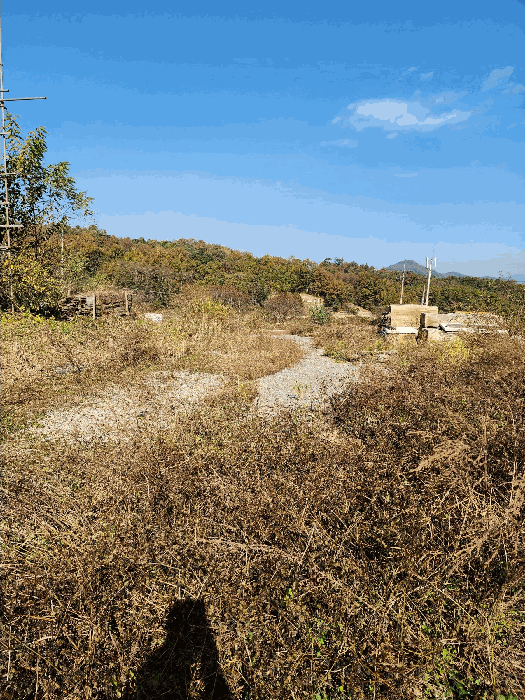 충북 충주시 앙성면 전 경매 물건 사진 6 · 2025타경30826