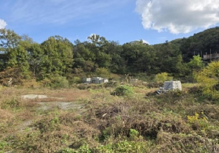 충북 충주시 앙성면 전 경매 물건 사진