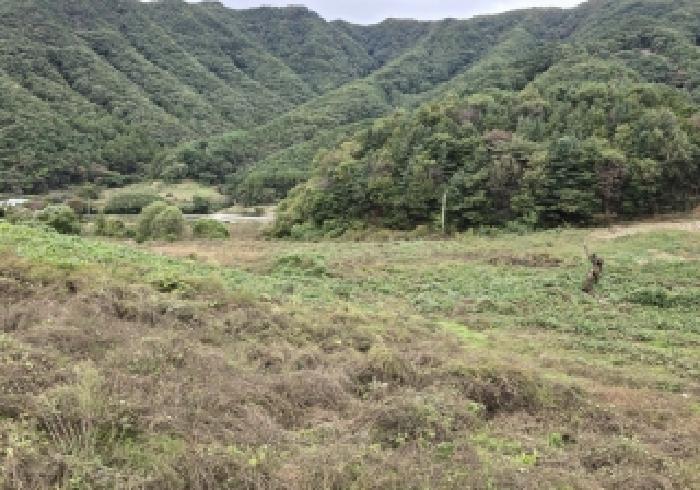 충북 충주시 수안보면 전 경매 물건 사진 3 · 2025타경30828