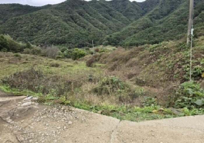 충북 충주시 수안보면 전 경매 물건 사진 4 · 2025타경30828