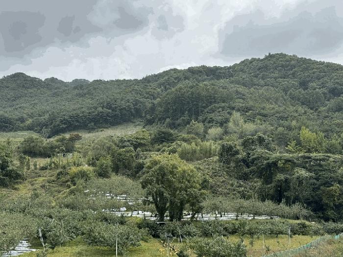 충북 충주시 수안보면 전 경매 물건 사진 2 · 2025타경30828