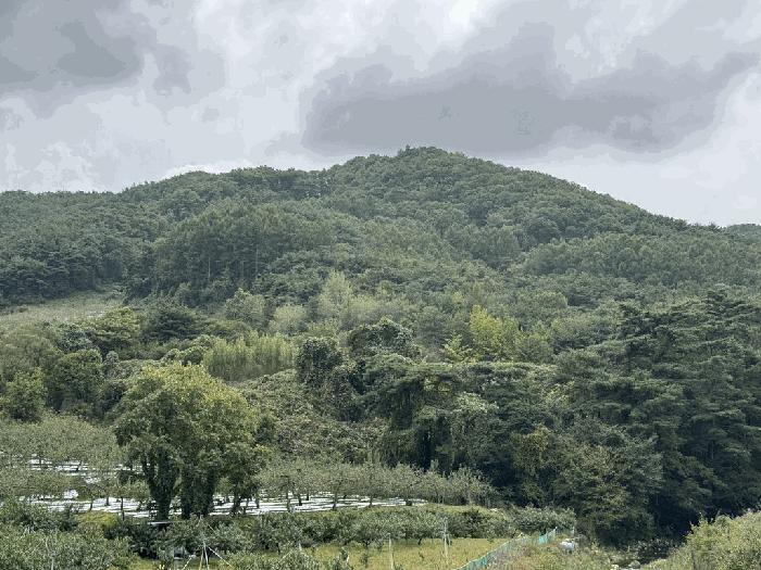 충북 충주시 수안보면 전 경매 물건 사진 6 · 2025타경30828