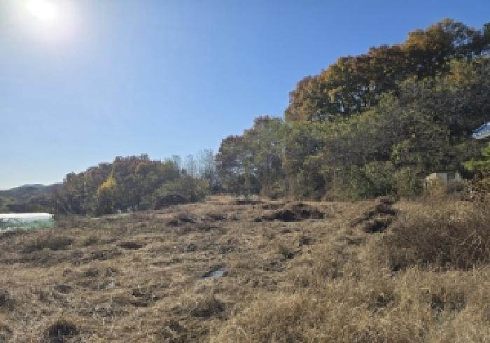 충북 충주시 엄정면 전 경매 물건 사진