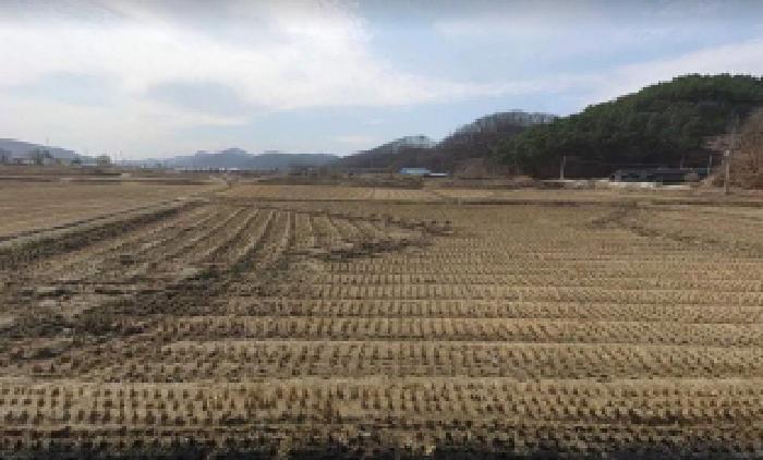 충북 충주시 앙성면 전답 경매 물건 사진