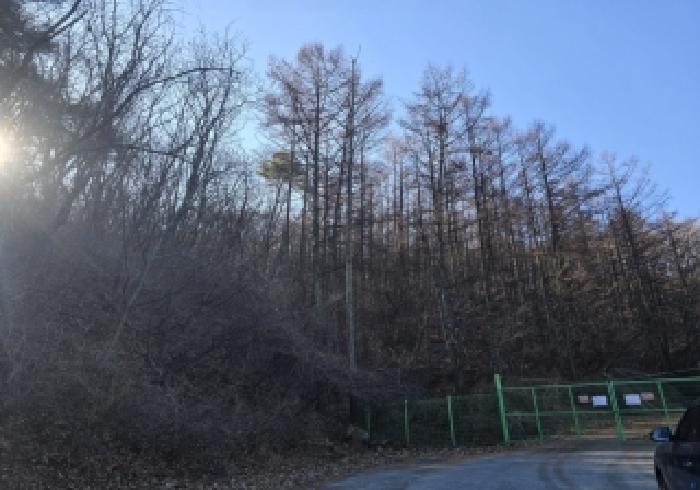 충북 충주시 산척면 임야 경매 물건 사진