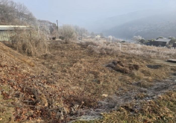 충북 충주시 앙성면 도로 경매 물건 사진