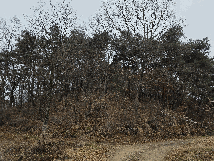 충북 충주시 앙성면 임야 경매 물건 사진 5 · 2025타경30934