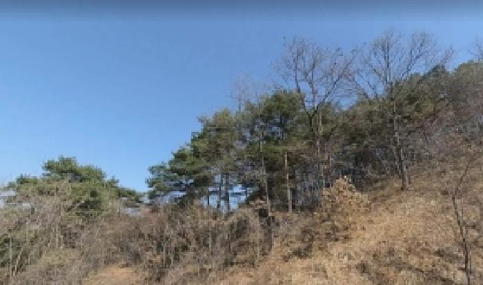 충북 충주시 앙성면 임야 경매 물건 사진 2 · 2025타경30934