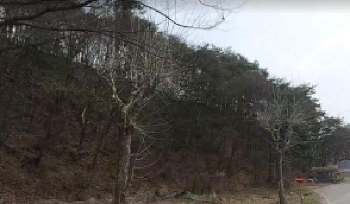 충북 충주시 수안보면 대지,임야,전답 경매 물건 사진 2 · 2025타경30941