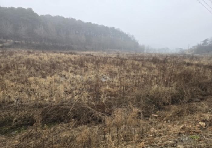 충북 충주시 주덕읍 임야 경매 물건 사진