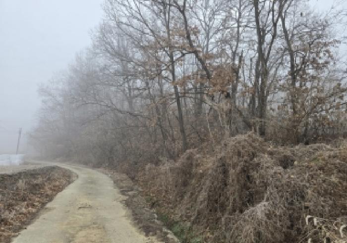 충북 충주시 금가면 임야 경매 물건 사진
