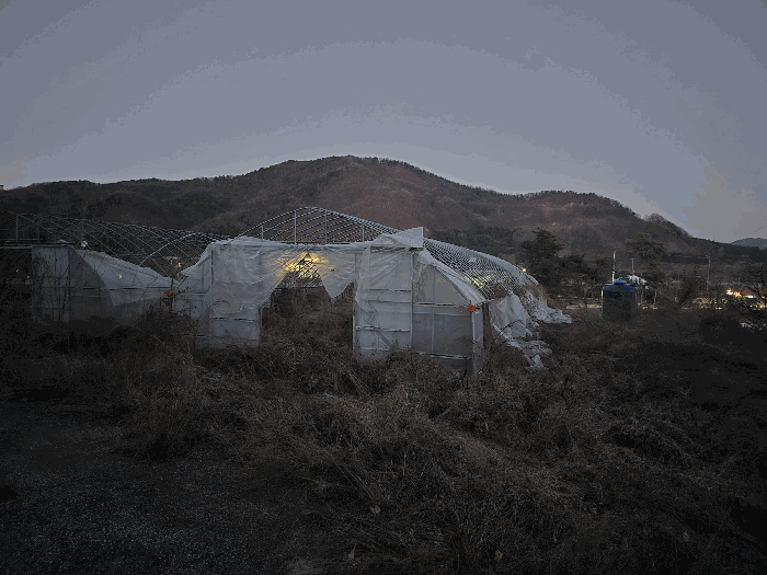 충북 충주시 앙성면 전답 경매 물건 사진 5 · 2025타경30977