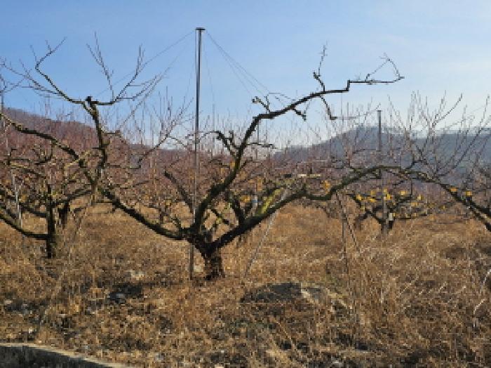 충북 음성군 감곡면 전답 경매 물건 사진