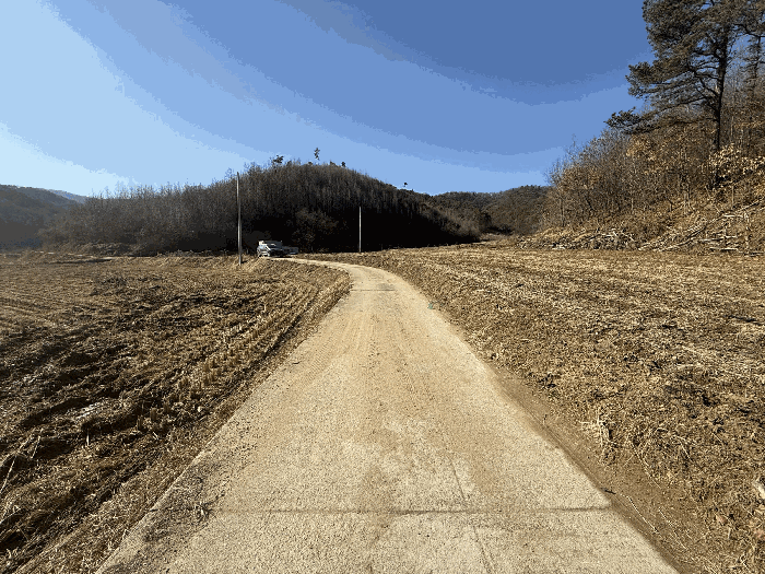 충북 충주시 앙성면 답 경매 물건 사진 5 · 2025타경31003
