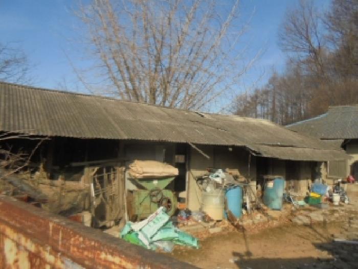 충북 음성군 원남면 대지 경매 물건 사진 6 · 2025타경31008