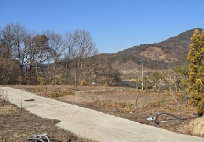 충북 충주시 앙성면 임야 경매 물건 사진 3 · 2025타경31012