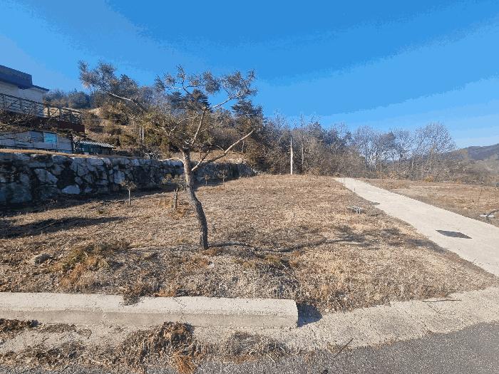 충북 충주시 앙성면 임야 경매 물건 사진