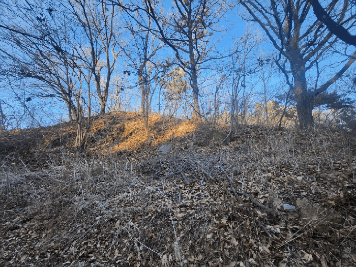 충북 충주시 동량면 임야 경매 물건 사진 4 · 2025타경31030