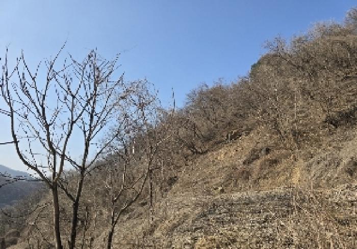 충북 충주시 살미면 전 경매 물건 사진