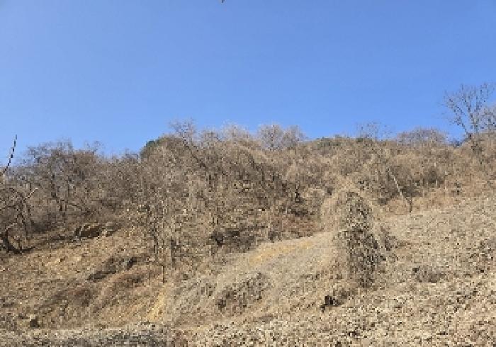 충북 충주시 살미면 전 경매 물건 사진 2 · 2025타경606