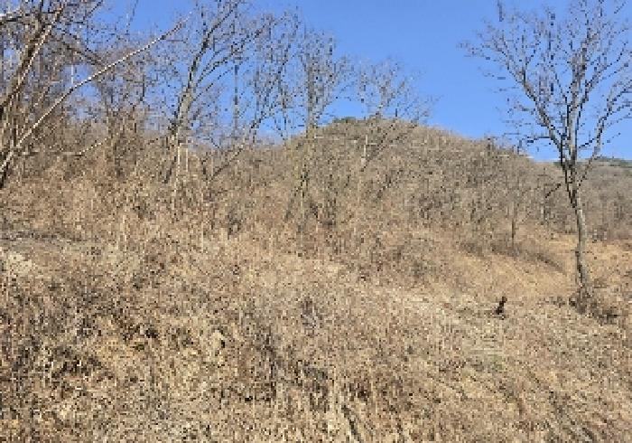 충북 충주시 살미면 전 경매 물건 사진 3 · 2025타경606