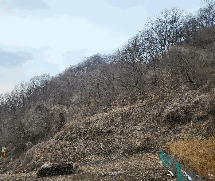 충북 충주시 살미면 전 경매 물건 사진 5 · 2025타경606