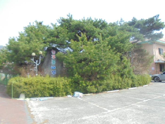 충북 충주시 연수동 노유자시설 경매 물건 사진 6 · 2025타경682