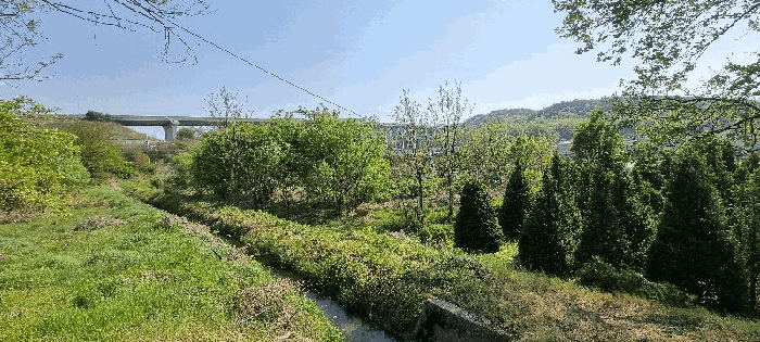 충북 충주시 중앙탑면 답 경매 물건 사진 6 · 2025타경934