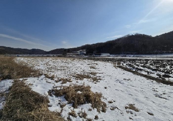 충청북도 음성군 원남면 조촌리 456 전답 경매 물건 사진
