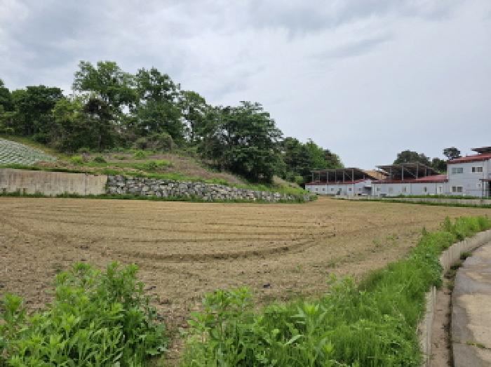 충북 음성군 금왕읍 동물및식물관련시설 경매 물건 사진