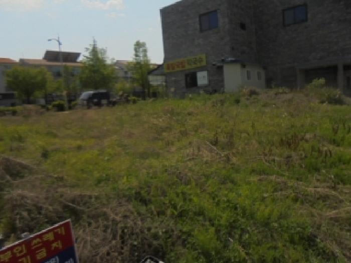 충북 음성군 맹동면 대지 경매 물건 사진