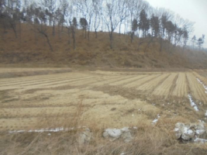 충북 충주시 신니면 대지,임야,전답 경매 물건 사진