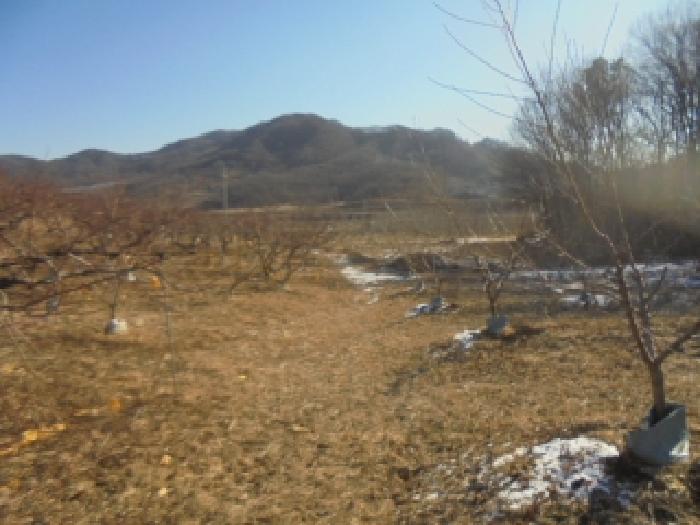 충북 충주시 주덕읍 동물및식물관련시설 경매 물건 사진