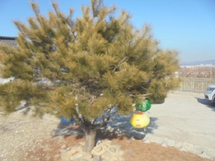 충북 음성군 감곡면 단독주택 경매 물건 사진 2 · 2026타경30031