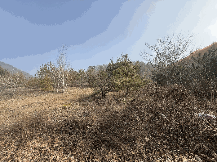 충북 충주시 주덕읍 대지 경매 물건 사진 5 · 2026타경30032