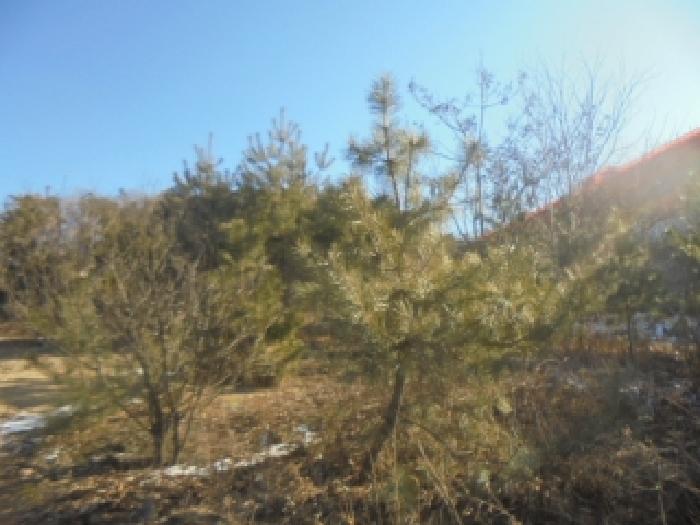 충북 충주시 주덕읍 대지 경매 물건 사진 2 · 2026타경30032