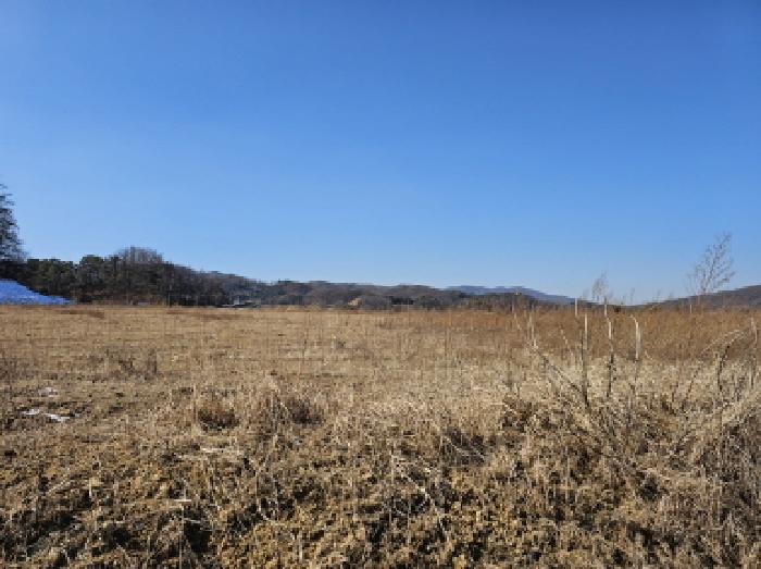 충북 음성군 음성읍 전답 경매 물건 사진