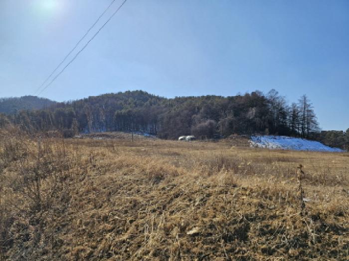 충북 음성군 음성읍 전답 경매 물건 사진 2 · 2026타경30042