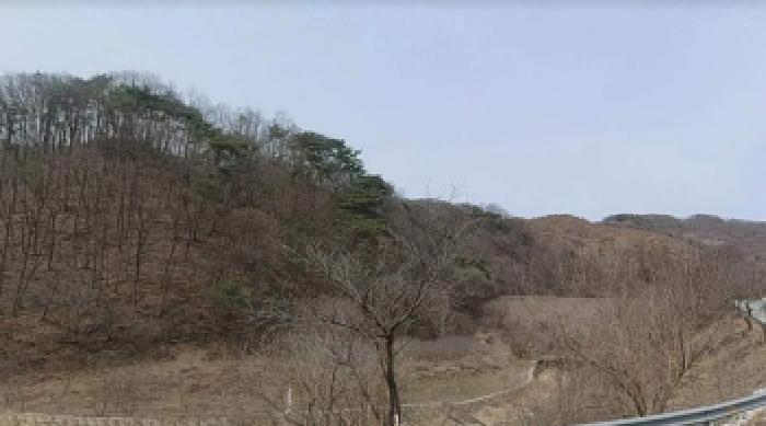 충북 충주시 엄정면 전답 경매 물건 사진