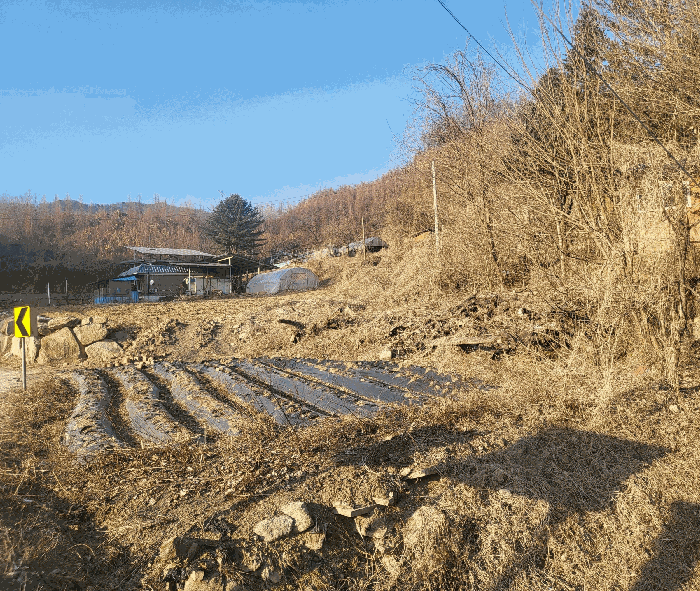 충북 충주시 엄정면 전답 경매 물건 사진 5 · 2026타경30048