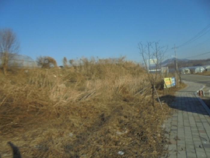 충북 충주시 금가면 전답 경매 물건 사진