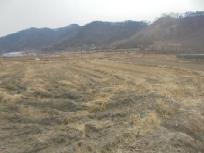충북 음성군 원남면 전답 경매 물건 사진