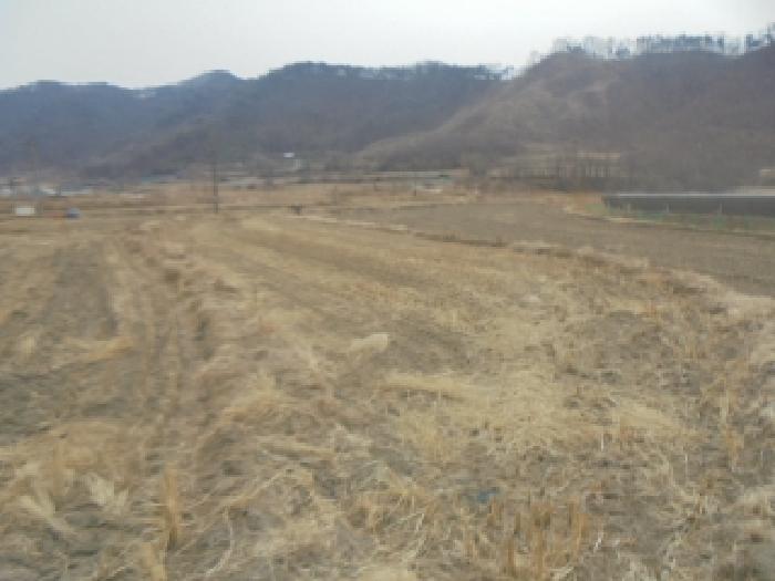 충북 음성군 원남면 전답 경매 물건 사진 2 · 2026타경30070
