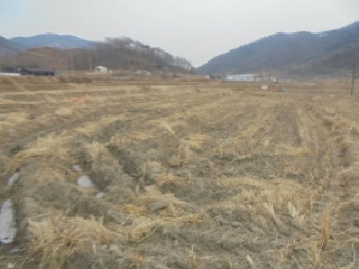 충북 음성군 원남면 전답 경매 물건 사진 3 · 2026타경30070